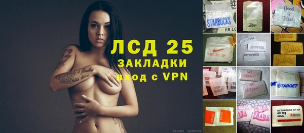 прущие грибы Абинск