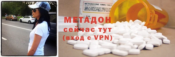 прущие грибы Абинск