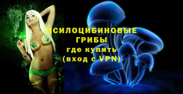 2c-b Абаза