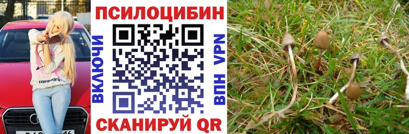 Галлюциногенные грибы GOLDEN TEACHER Богданович